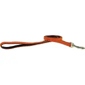 Kentucky Nylon Plaited Hundkoppel 15 Mm