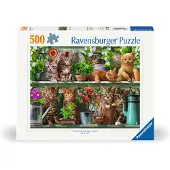Ravensburger Pussel - 500 Delar - Katter på hyllan - - One Size - Pussel