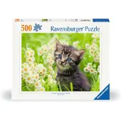 Ravensburger Pussel - 500 Delar - Kattunge på ängen - - One Size - Pussel