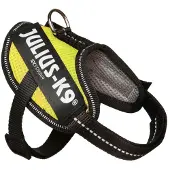JULIUS K-9 Idc Powair Hundsele