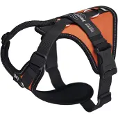 JULIUS K-9 Longwalk Light Hundsele