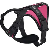 JULIUS K-9 Longwalk Light Hundsele