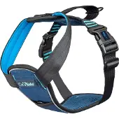Company of animals Carsafe Crash Tested Dog Hundsele