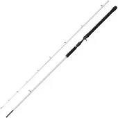 Abu Garcia Beast X2 Trolling Cast spinnspö