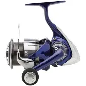 Daiwa Team R 2024 Karpfiskerulle