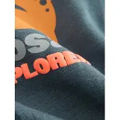 Next T-shirt grå / gran / orange