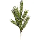 Newport Forrest tallkvist grön
