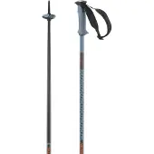 Salomon Polar Pro Stavar