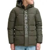 Jack & jones Junior Vinterjacka 'JCOSpeed' ljusgrå / grön