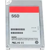 Dell - SSD - 1.92 TB - inbyggd - 2.5" (i 3,5-tums hållare) - SAS 12Gb/s - för PowerEdge C6420 (3.5")