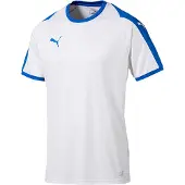 Puma Liga Jersey Tränings T-shirt Kortärmad Crew Neck Blå Herr Topp 703417 12
