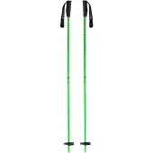 Black Crows - Skidstavar - Meta Green för Unisex - Storlek 120 cm - Grön