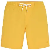 O'Neill Vert 16'' Boardshorts golden haze Storlek L