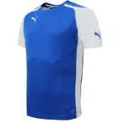 Puma Speed Jersey Träning Gym Sport T-shirt Blå - Herrar