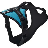 JULIUS K-9 Longwalk Light Hundsele