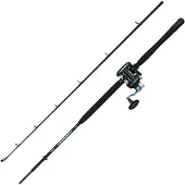 Penn Warfare Ii Boat Lwlh Jigging-kombo