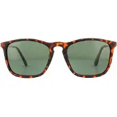 Montana Solglasögon MP34 B Brown Turtle Rubbertouch G15 Green Polarized