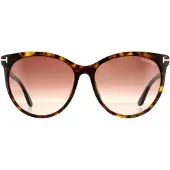 Tom Ford Cat Eye Womens Mörk Havanna Brun Gradient Solglasögon