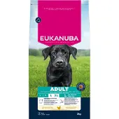 Eukanuba Adult Large hundfoder med kyckling