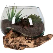 You do it Goutte d'eau en teck et verre House Nordic San Marino