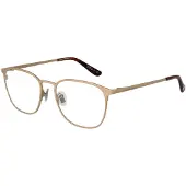 Superdry Glasögonbåge SDO-2018 001 50