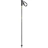 Elan Carbon Rod Stavar