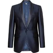 Billionaire Blazer Lion