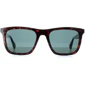 Ted Baker Square Herr Milky Mörkbrun Blå TB1680 Filipe