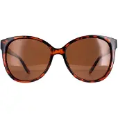 Montanaeyewear Cat Eye Dam Shiny Tortoise Brown Polarized MP74B