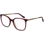 Superdry Glasögonbåge SDO-2020 162 50