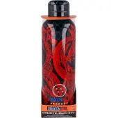 Stor Dragon Ball Z Stainless Steel Flaska 515ml