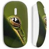 CAPACHEAP Souris sans fil Grenouille œil