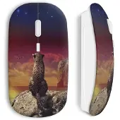 CAPACHEAP Souris sans Fil leopard sea