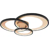 TRIO Design taklampa svart inkl LED 3-stegs dimbar - Joran