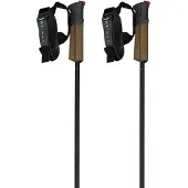 Fischer Gt 11 Carbon Mag Stavar