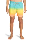 Billabong All Day Fade Simshorts