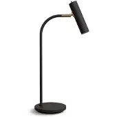 BELID Bordslampa , Guld / mässing, Vardagsrum, Metall