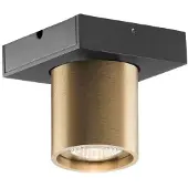 LIGHT-POINT Taklampor , dimbara, Guld / mässing, Vardagsrum, Aluminium