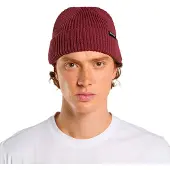 Dickies - Mössor - Woodworth Beanie Andorra för Unisex - Bordeaux