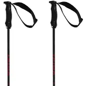 Völkl Rentastick Carbon Stavar
