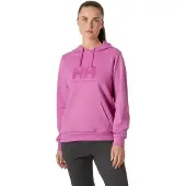 Helly Hansen Logo 2.0 Huvtröja