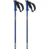 Salomon Polar Pro Stavar
