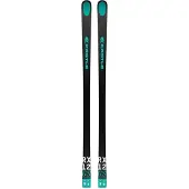 Kästle Rx12 Gs Factory Fis H+plate 10mm Alpinskidor