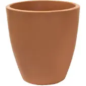 Wellhome Accord Blomkruka 50 Cm