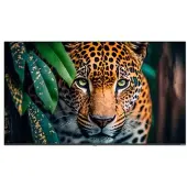 Newline Stv-4324p 43´´ 4k Lcd Skärm