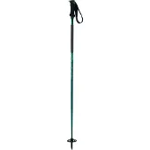 Elan Ripstick Rod W Stavar
