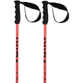 Völkl Speedstick Stavar