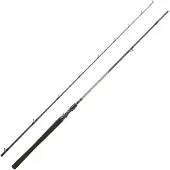 Daiwa Exceler Baitcastingspö 2 Sektioner
