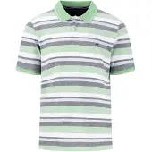 Fynch&Hatton 2-tone Multicoloured Stripe Kortärmad Polotröja