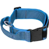 JULIUS K-9 Collar 50 Mm Hundhalsband
